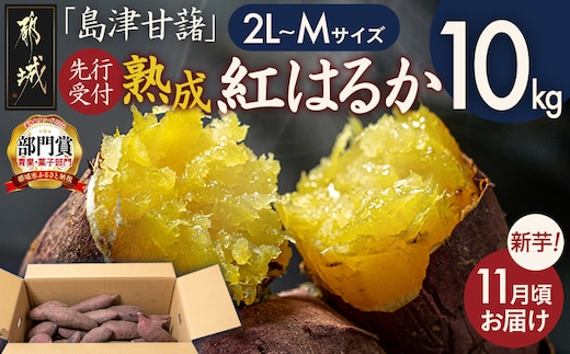 先行受付!【11月お届け】島津甘藷 熟成紅はるか 10kg(2L～M)_12-A7-001-10kg-11