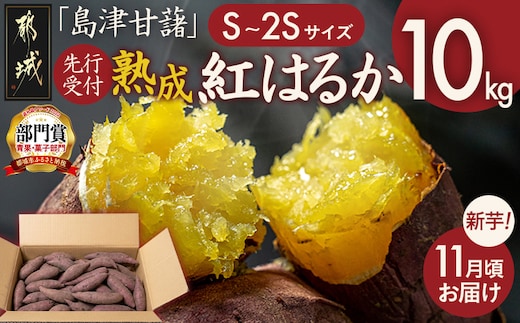 先行受付!【11月お届け】島津甘藷 熟成紅はるか 10kg(S～2S)_12-A7-001-10kg-m-11