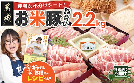 お米豚2.2kgセット≪みやこんじょ快速便≫_14-3101-R