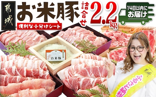 お米豚2.2kgセット≪みやこんじょ快速便≫_14-3101-R
