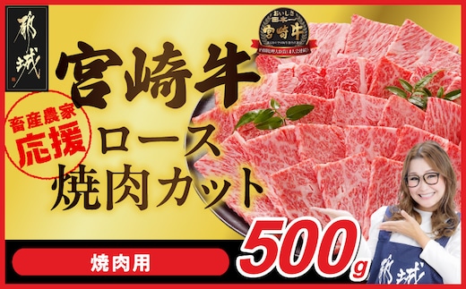 畜産農家応援! 宮崎牛ロース焼肉用 500g_17-N2-013-500g