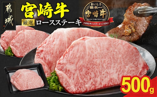 宮崎牛ロースステーキ2枚 計500g_17-N2-011-500g