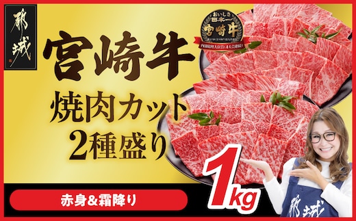 宮崎牛焼肉2種1kgセット(霜降り400g 赤身600g)_18E-N2-002-1kg-S4A6-CF