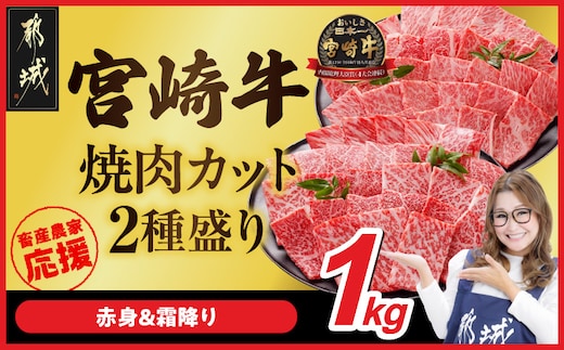 畜産農家応援! 宮崎牛焼肉2種セット500g×2パック_19-N2-002-1000