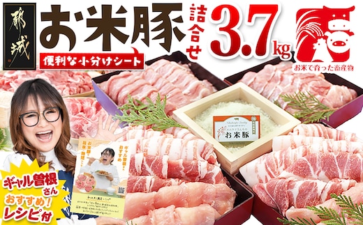 お米豚3.7kgセット_23-3101
