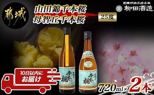 【柳田酒造】山田錦千本桜・母智丘千本桜(25度)720ml×2本 ≪みやこんじょ特急便≫_AA-0751