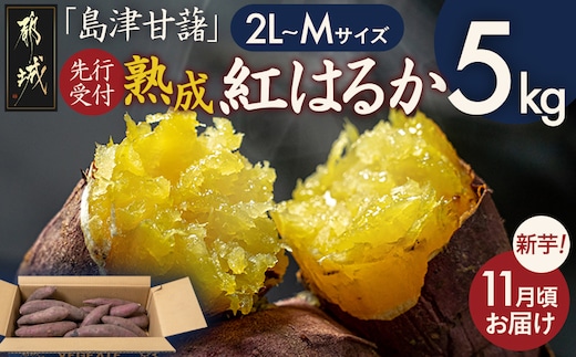 先行受付!【11月お届け】島津甘藷 熟成紅はるか 5kg(2L～M)_LE-A7-001-5kg-11