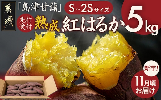 先行受付!【11月お届け】島津甘藷 熟成紅はるか 5kg(S～2S)_LE-A7-001-5kg-m-11