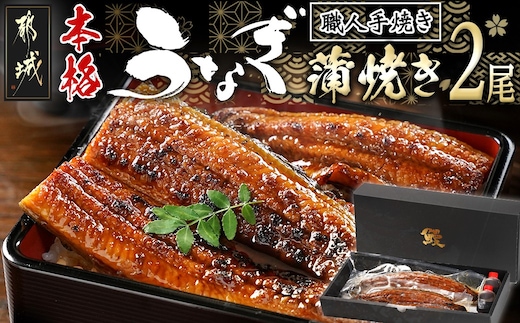 職人手焼きの本格うなぎ蒲焼き2尾_MJ-3305