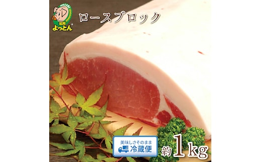 延岡よっとん ロースブロック約1kg N003-YA966