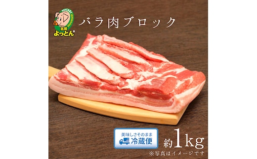 延岡よっとん バラブロック約1kg N003-YA968