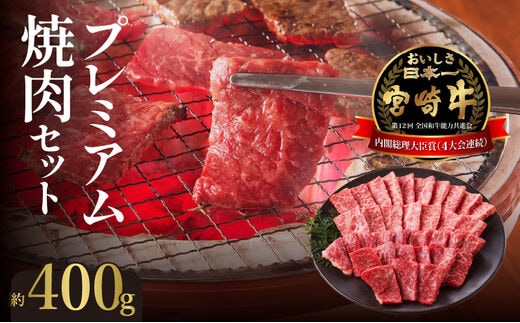 宮崎牛焼肉セット N023-YZB101