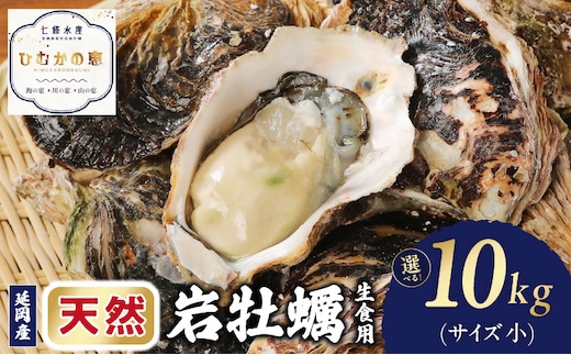 延岡産天然岩牡蠣（生食用）10kg（小）（2026年4月15日から発送開始）N036-YZD025