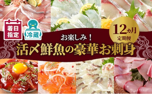【お楽しみ定期便】延岡産活〆鮮魚の豪華お刺身（12ヶ月定期便） N019-YYG0191