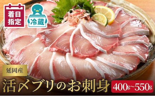 【冷蔵】【日向灘どれ】延岡産活〆ブリのお刺身400g～550g N019-YA2259