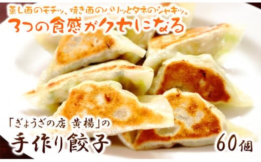 【ぎょうざの店 黄楊】手作り餃子 60個（餃子30個×２パック）N0099-YA4419