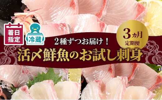 人気のお刺身3ヶ月定期便 少量2種ずつお届け N019-YC911