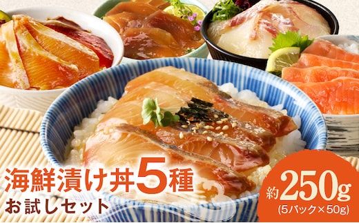 【冷凍】海鮮漬け丼5種お試しセット N019-YA192