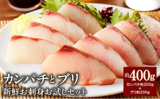 【冷蔵】ブリとカンパチの新鮮お刺身セット少量お試しパック N019-YA194