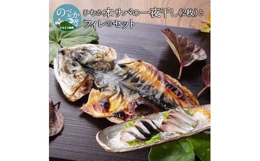 ひむか本サバの一夜干し(2枚)とフィレのセット N025-YB245