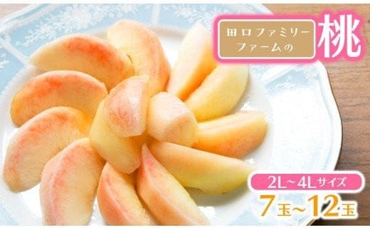 【田口ﾌｧﾐﾘｰﾌｧｰﾑ】旬の桃 2L～4L(7～12玉)(2026年6月中旬発送開始) N053-YZA466