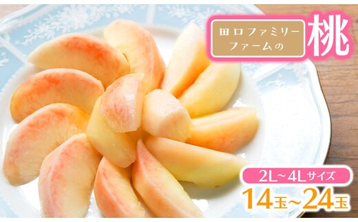【田口ﾌｧﾐﾘｰﾌｧｰﾑ】旬の桃 2L～4L(14～24玉)(2026年6月中旬発送開始) N053-YZB710