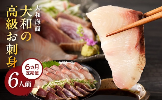 【6ヶ月定期便】大和の高級お刺身6人前 N072-YF071_2