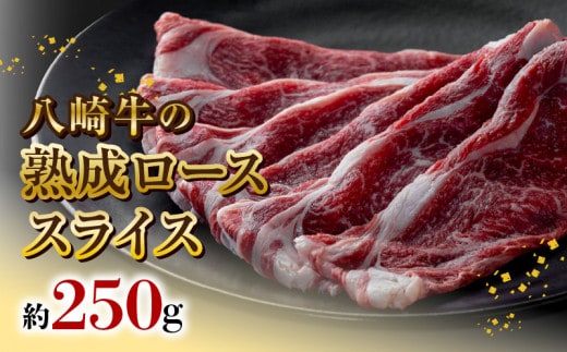 八崎牛の熟成ローススライス約250g N0105-YB069