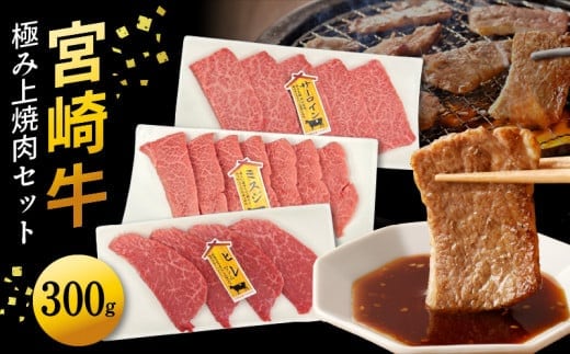 宮崎牛極み上焼肉セット合計300g N0140-YB086