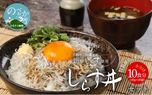 宮崎産しらす丼セット小分け10食分400g老舗醸造所特製醤油付き N065-YA175