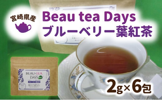 Beau tea Days ブルーベリー葉 紅茶 N048-YZA096