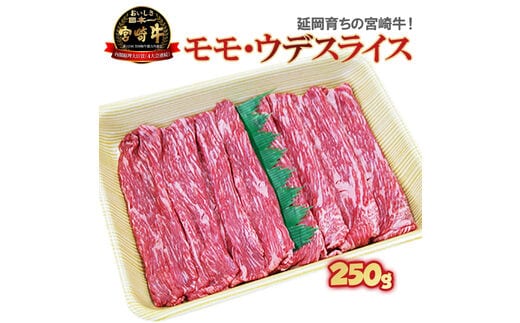 延岡育ちの宮崎牛モモ・ウデスライス N023-YZA302
