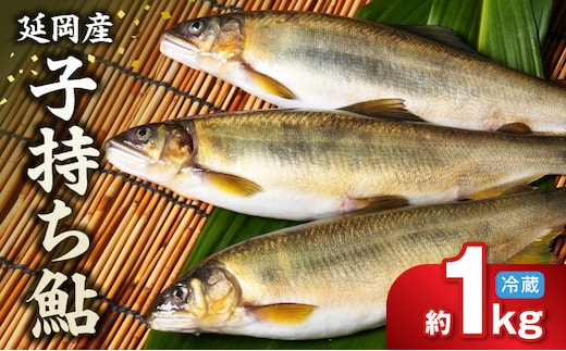 【先行予約】2026年10月下旬より発送開始【冷蔵】子持ち鮎 約１kg N070-YA5530-1