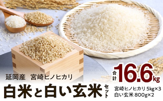 宮崎ヒノヒカリ延岡産白米と白い玄米セット合計16.6㎏ N0149-YE115