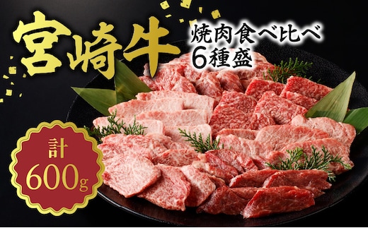 宮崎牛 焼肉食べ比べ6種盛600g N0140-YB446