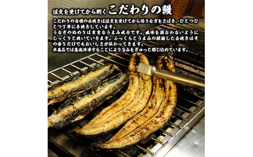 急速冷凍】北川鰻の白焼き（2尾）N010-ZA480 | dショッピングふるさと