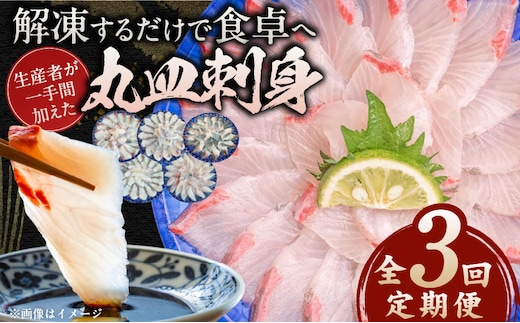 【3ヶ月定期便】(冷凍)解凍するだけで食卓へ！生産者が一手間加えた丸皿刺身 N015-YD0238