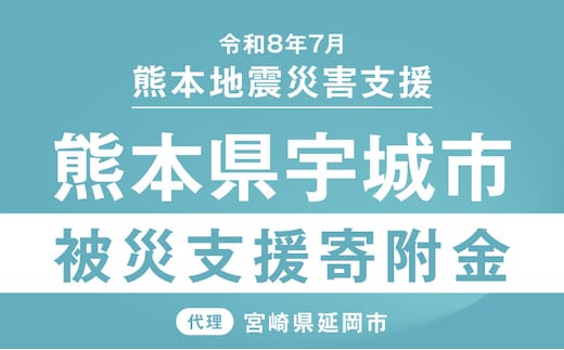 【返礼品なし】 令和8年熊本地震 熊本県宇城市災害支援 代理寄附 N0159-9994