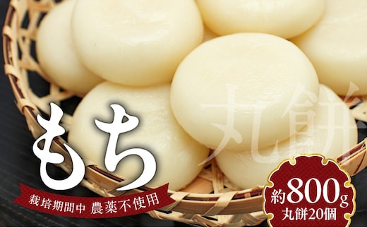 もち20個 N0182-YA0475