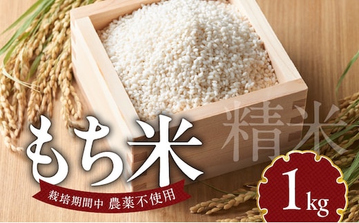 もち米1kg N0182-YA0474