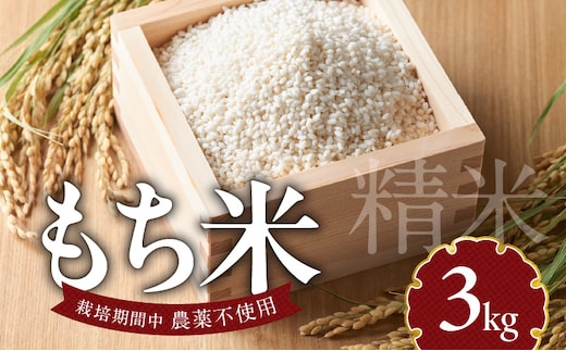 もち米3kg N0182-YA198