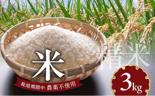 米 3kg N0182-YA3382