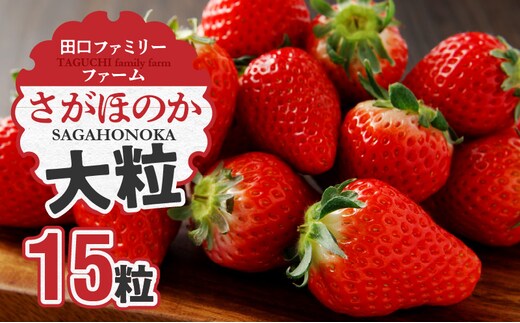 【田口ファミリーファーム】大粒完熟いちご(さがほのか)15粒(1月中旬発送開始) N053-YA2261