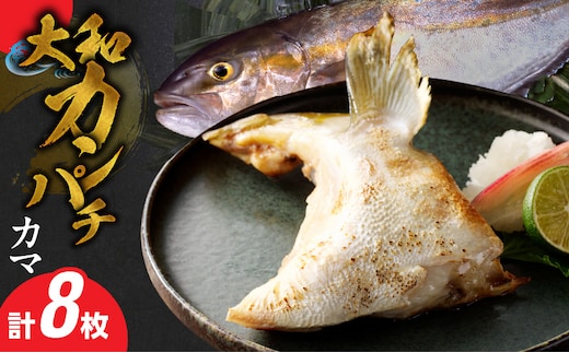 大和カンパチのカマ N072-YA946