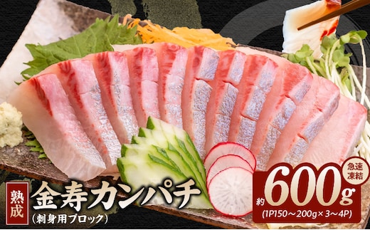熟成金寿カンパチ刺身用ブロック600ｇ(急速凍結) N015-YA856