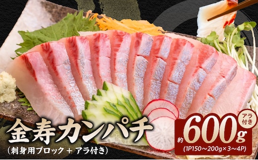 金寿カンパチ600ｇアラ付き（刺身用ブロック＋アラ付き） N015-YB091