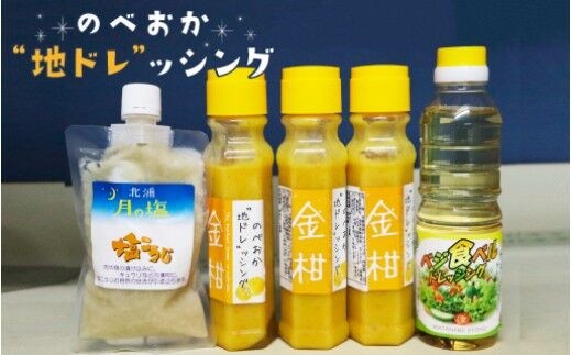 のべおか”地ドレ”ッシング金柑と塩こうじセット N060-YA226