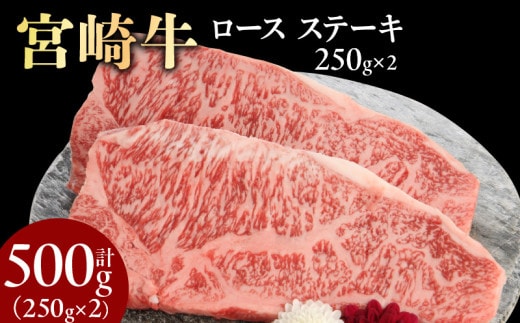 宮崎牛ロースステーキ 250g×2 計500g N0147-YB827