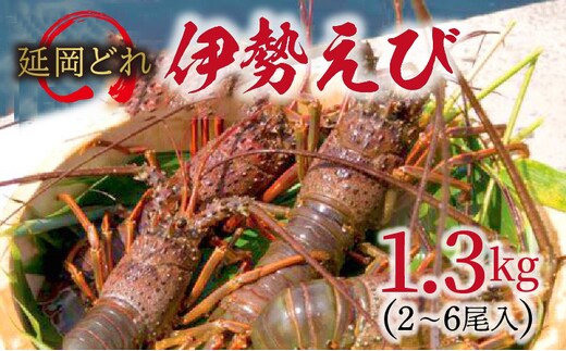 奇跡の清流小川カヌー・カヤック体験＋ＢＢＱケータリング N002-YZD002