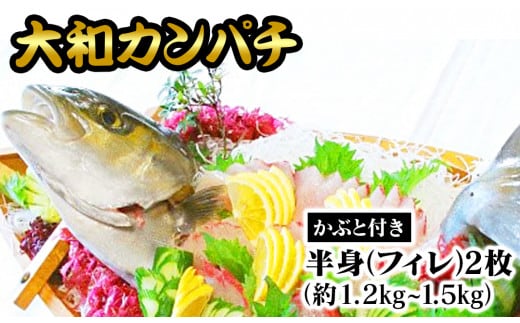 大和ｶﾝﾊﾟﾁ半身(ﾌｨﾚ)約1.2kg～1.5kg×2枚かぶと付き N072-YD0192